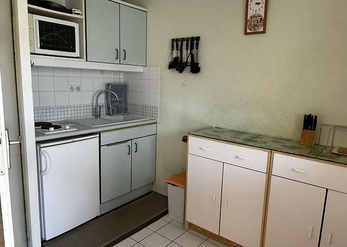 2 Pieces Avec Piscine Et Parking A Port Camargue - Fr-1-250-293 Ле-Гро-дю-Руа