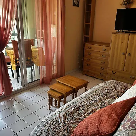 Apartmán 2 Pieces Avec Piscine Et Parking A Port Camargue - Fr-1-250-293